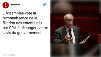 L'Assemblée vote la reconnaissance de la filiation des enfants nés par GPA à l'étranger