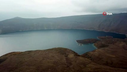 Ayılara beş yıldızlı hizmet... Sofra kurup elleriyle yemek yediriyor