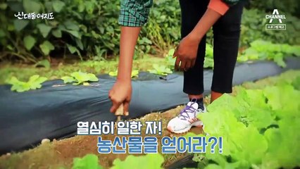 [예고] 일한 만큼 누려라! 청양으로 떠나는 자급자족 여행