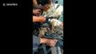 Thai fishermen rescue sea turtle tangled in loose fishing nets