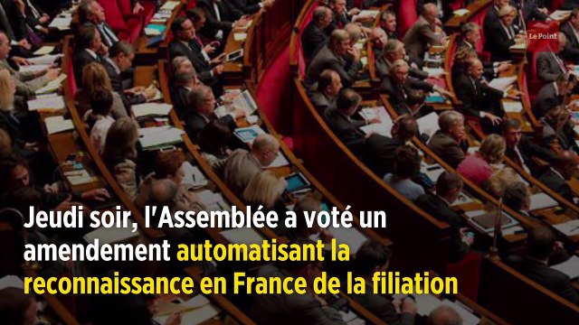 La filiation des enfants nés par GPA à l'étranger votée à l'Assemblée