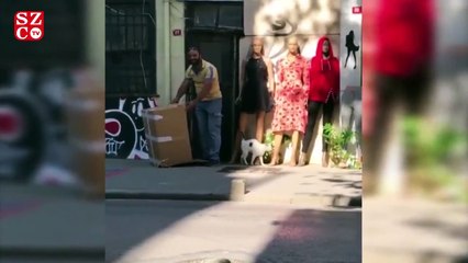 İspark'tan hayvanları koruma gününe özel paylaşım