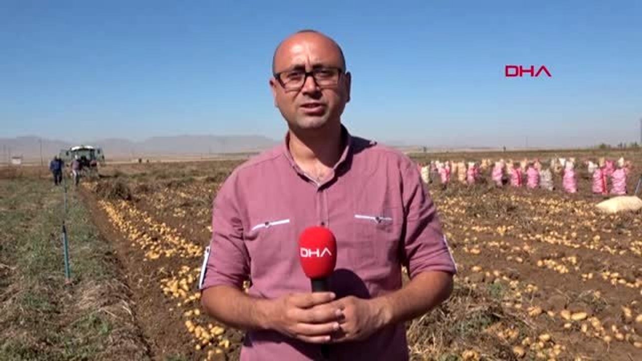 nigde patates ureticisi tanzim satisi istiyor dailymotion video