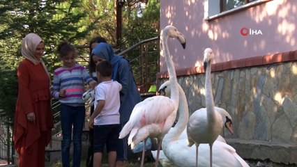 Küçük yaşta eğitim, hayvan sevgisini gelecek nesillere aşılıyor