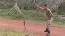 ¡Qué sangre fría! Un soldado se enfrenta a la serpiente venenosa más grande del mundo