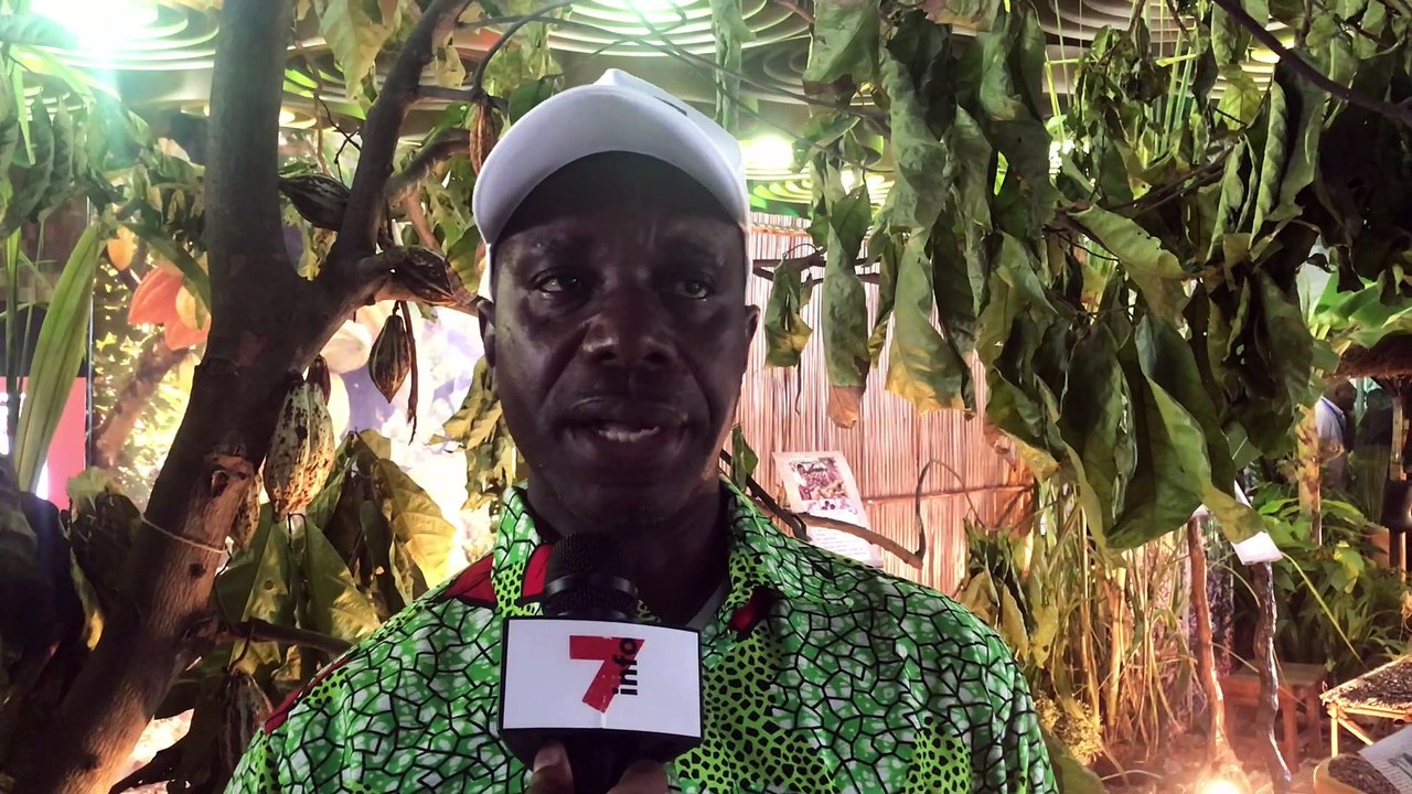 Les producteurs ivoiriens de Cacao réagissent après l’annonce du prix bord champ de la campagne 2019-2020