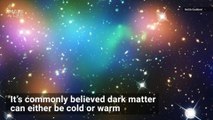 Could Dark Matter Be ‘Fuzzy’ Instead of Warm or Cold?