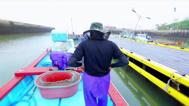 한국기행 - Korea travel_트로트 기행 5부- 브라보! 아빠의 청춘_#001