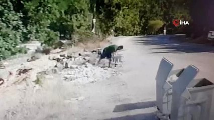 Taş hırsızları... Çanakkale'deki sözde çevrecilerin hırsızlık anları kameraya böyle yansıdı