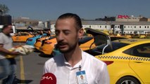 İstanbul-sabiha gökçen havalimanı'nda görevli taksiciler sokak hayvanlarını elleriyle besledi