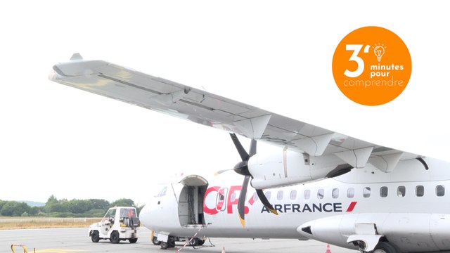 [TRANSPORT AÉRIEN] Rapport de la mission d'information Transports aériens et aménagement des territoires