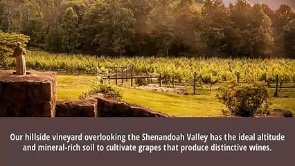 Enjoy a Peak Experience In Virginia's Wine Country