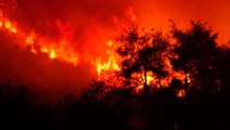 Bursa'daki orman yangınının bilançosu havadan görüntülendi