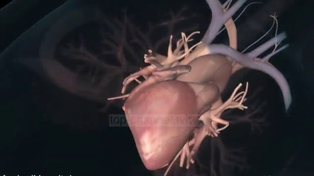 “Të rriten taksat për cigaret”, propozimi nga ish-ministri i Shëndetësisë për të ulur duhanpirjen