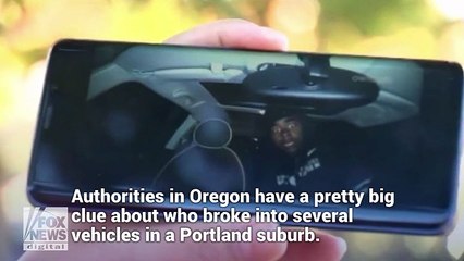 La réaction impayable d’un voleur filmé en flagrant délit dans une voiture