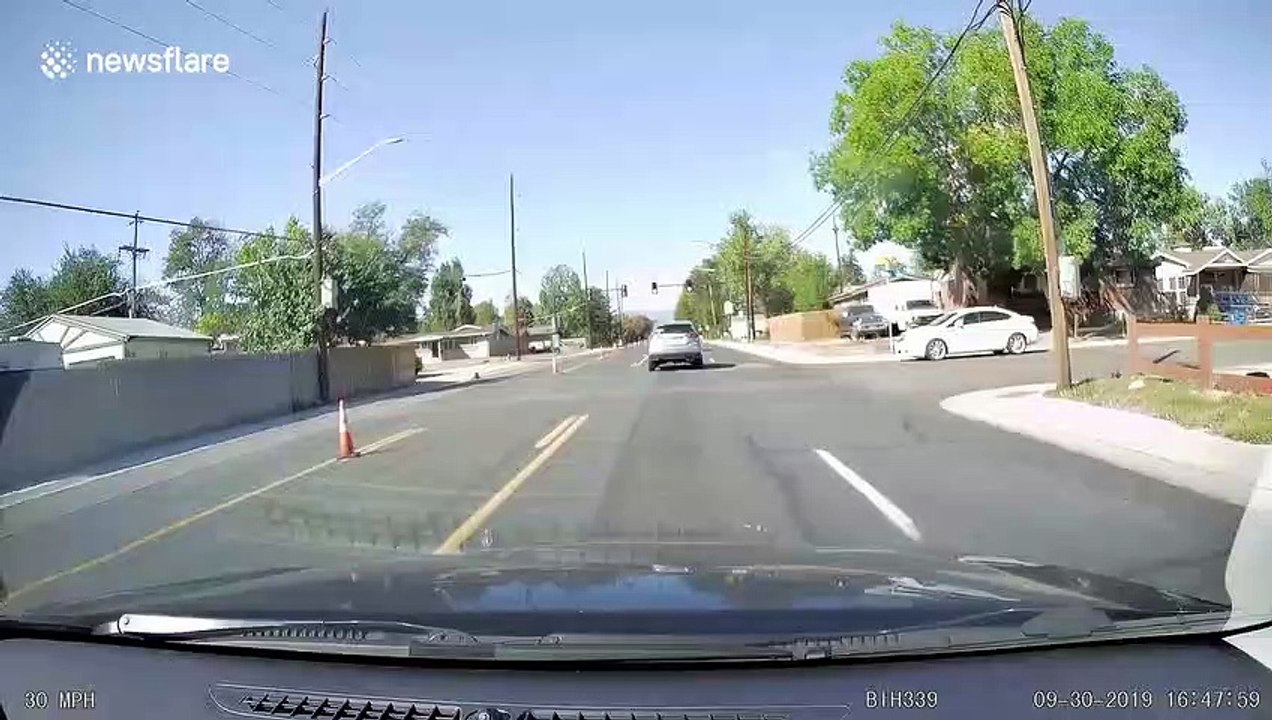 Woman frantically chases after pet dog that sprints across road in Colorado