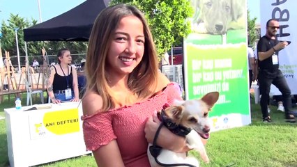 'PatiFest' renkli görüntülerle başladı - MERSİN