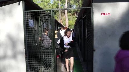 Muğla öğrenciler barınaktaki hayvanlara kitap okudu, müzik dinletisi sundu