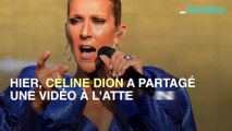Atteinte d'un virus, Céline Dion annule deux concerts et s'excuse