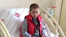 Ankara parkta düşen çınar'ın beyninde tümör çıktı