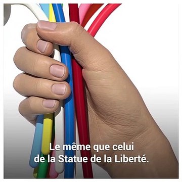 Le Bouquet de Tulipes de Jeff KOONS