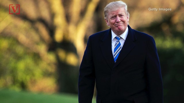 Bernie Sanders Says It’ll Be ‘a Real Pleasure Defeating’ Trump After He Insults AOC