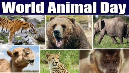 World Animals Day, जानिए क्यों खास है ये दिन ?  | वनइंडिया हिंदी