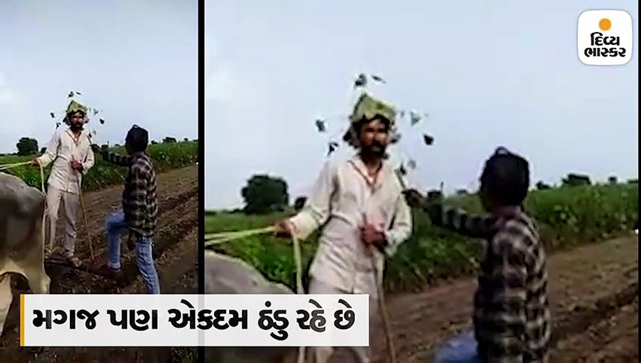 વખાના માર્યા ખેડૂતે બનાવ્યું ગ્રીન હેલમેટ, જૂગાડુ પ્રયોગનો વીડિયો વાઈરલ
