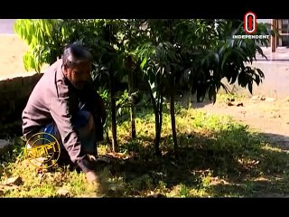 Talaash Episode 136 - তালাশ পর্ব- ১৩৬ - মুক্তিযোদ্ধা ২০১৯ - প্রথম পর্ব - Muktijoddha 2019