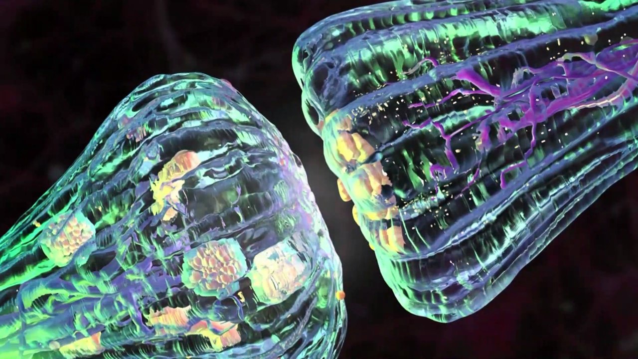 Nuevo antipsicótico para el tratamiento de la esquizofrenia con un mecanismo de acción único