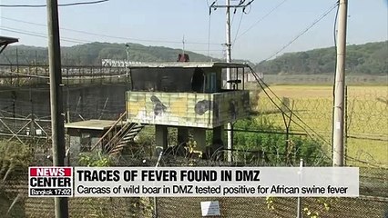 S. Korea to use helicopters in DMZ to prevent spread of African swine fever