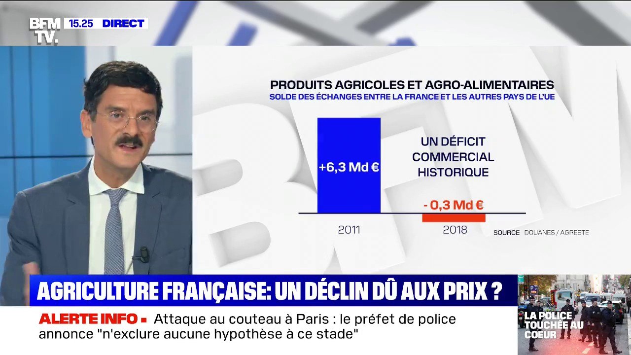 L'agriculture a longtemps été le fleuron du commerce français : comment expliquer le déclin du secteur?