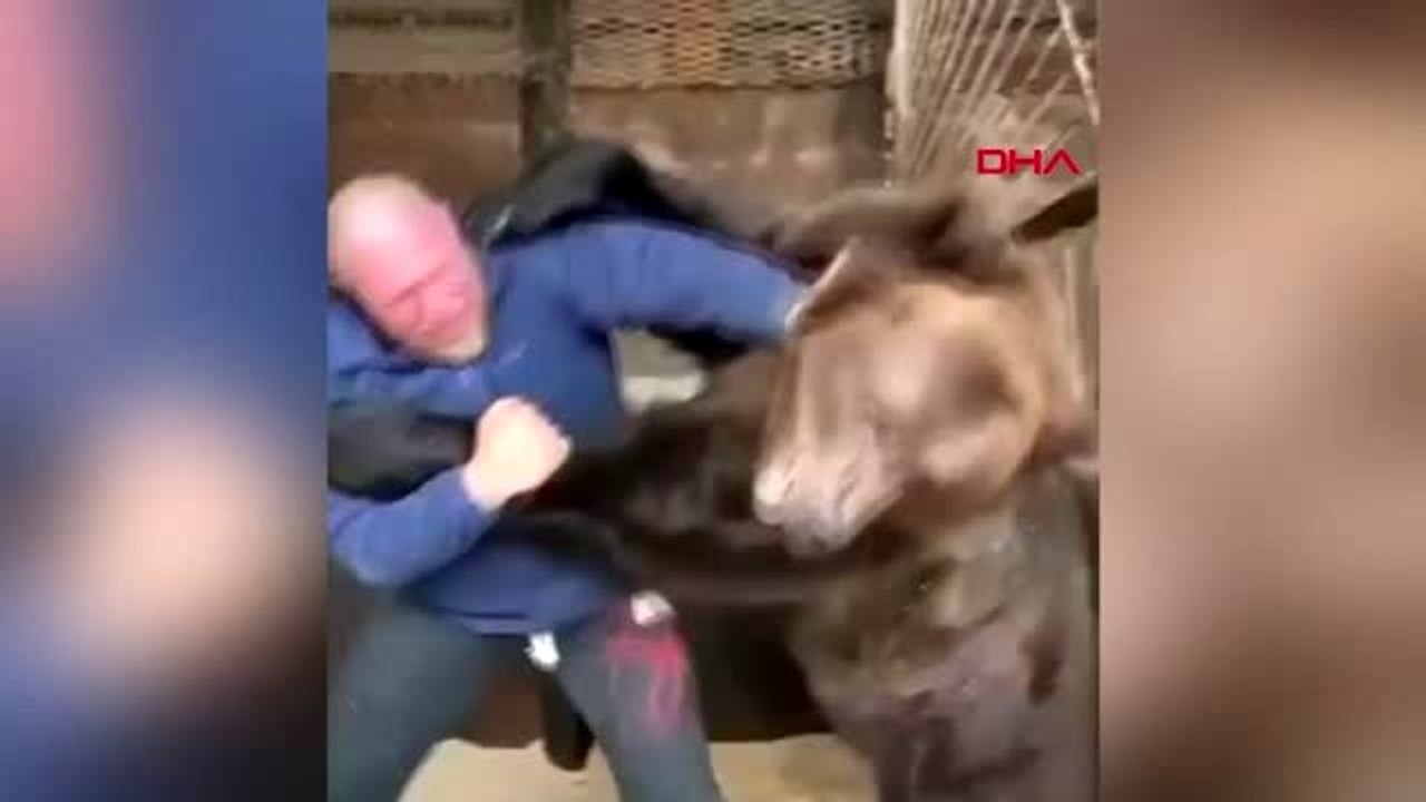 Rus dövüşçü, ayıyla antrenman yaptı