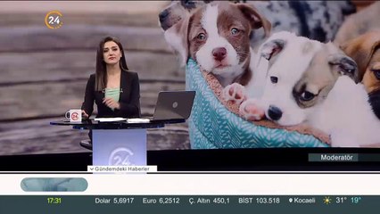 Fosforlu Tasma Uygulaması