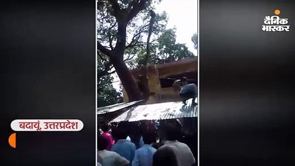 बंदर ने हवा में उड़ाए 65 हजार रुपए
