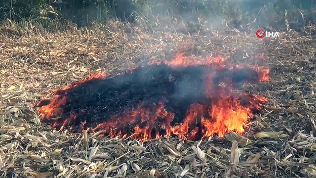 Adapazarı Ziraat Odası Başkanı Ercan Ateş: “Arazi sahiplerine arazilerini takip etmelerini ve anız yakmamalarını rica ediyorum”