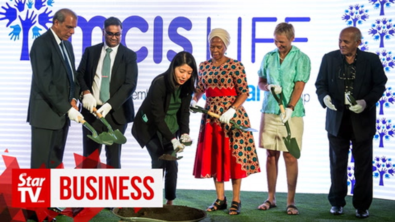 MCIS roots for rainforest sustainability in rebranding exercise