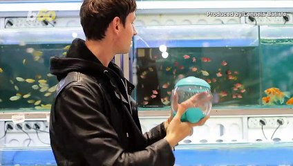 Pets That Are Surprisingly Legal In the U.S.