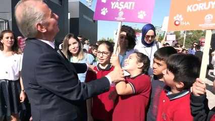 Peçeli baykuş 4 Ekim Dünya Hayvanları Koruma Günü’nde ilgi odağı oldu