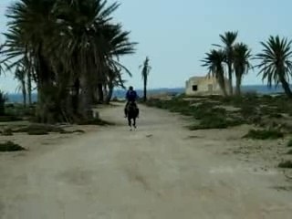 ZARZIS FEVRIER 2006 089