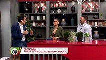 Economía Pymes y su impacto en la economía nacional - Nex Panamá