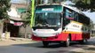Bus Eksekutif Harapan Jaya Jurusan Blitar - Jakarta Melintas di Branggahan Kediri Jawa Timur