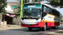 Bus Eksekutif Harapan Jaya Jurusan Blitar - Jakarta Melintas di Branggahan Kediri Jawa Timur