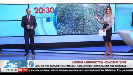 Σε απόγνωση οι ελαιοπαραγωγοί στον Ελαιώνα μετά την χαλαζόπτωση