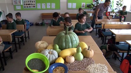 Öğrencileri Ektiği Ata Tohumundan 42 Kilogram Bal Kabağı Elde Etti