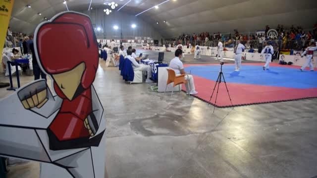 Avrupa Gençler Tekvando Şampiyonası - Türk sporcular, 2 altın madalya kazandı