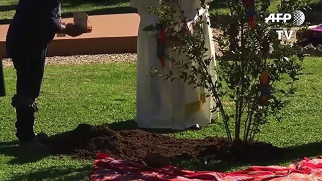 Le pape plante un arbre au Vatican avec des indigènes d'Amazonie