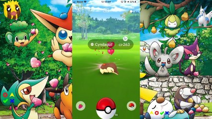 Pokémon GO SHINY CYNDAQUIL Pokémon # 155