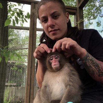 Grooming Team Take Turns