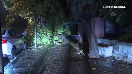 Yurtta etkili olan yağmur hayatı felç etti! Ağaç devrildi, dükkanları ve evleri su bastı